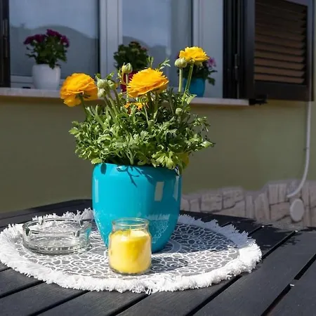 La Casa Di Zoe