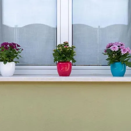 La Casa Di Zoe *